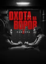 Охота на воров 2: Пантера